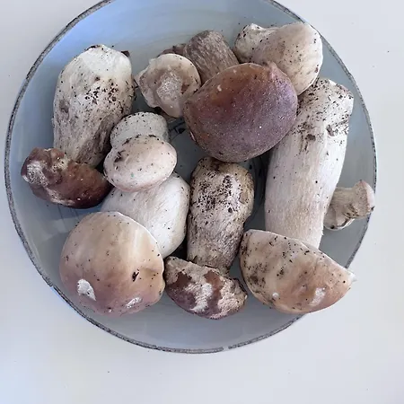 Mont Jara 6 Personnes Appartamento Caro (Pyrenees-Atlantiques)