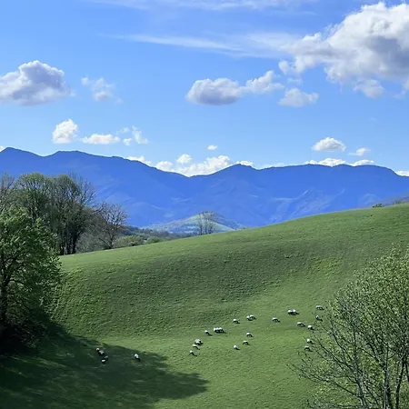 Appartamento Mont Jara 6 Personnes *