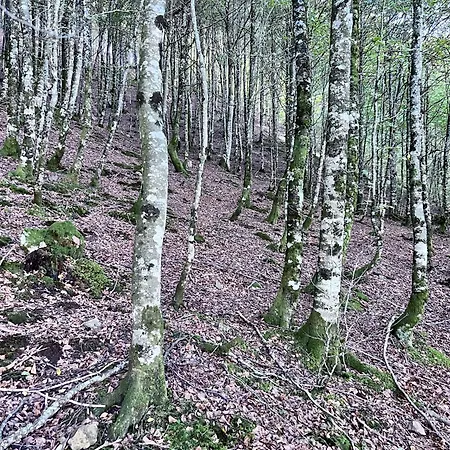 Mont Jara 6 Personnes Appartamento